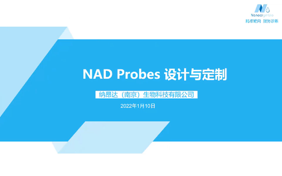 NAD Probes 设计与定制