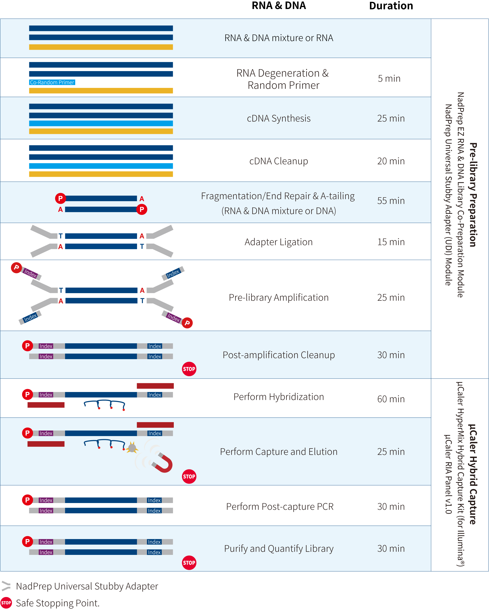 workflow_EN-20260329