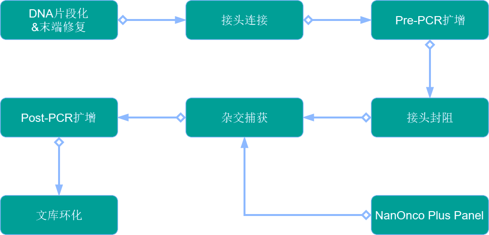 建库流程图lv