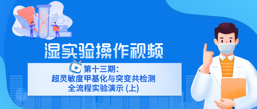 第十三期：超灵敏度甲基化与突变共检测全流程实验演示 (上)