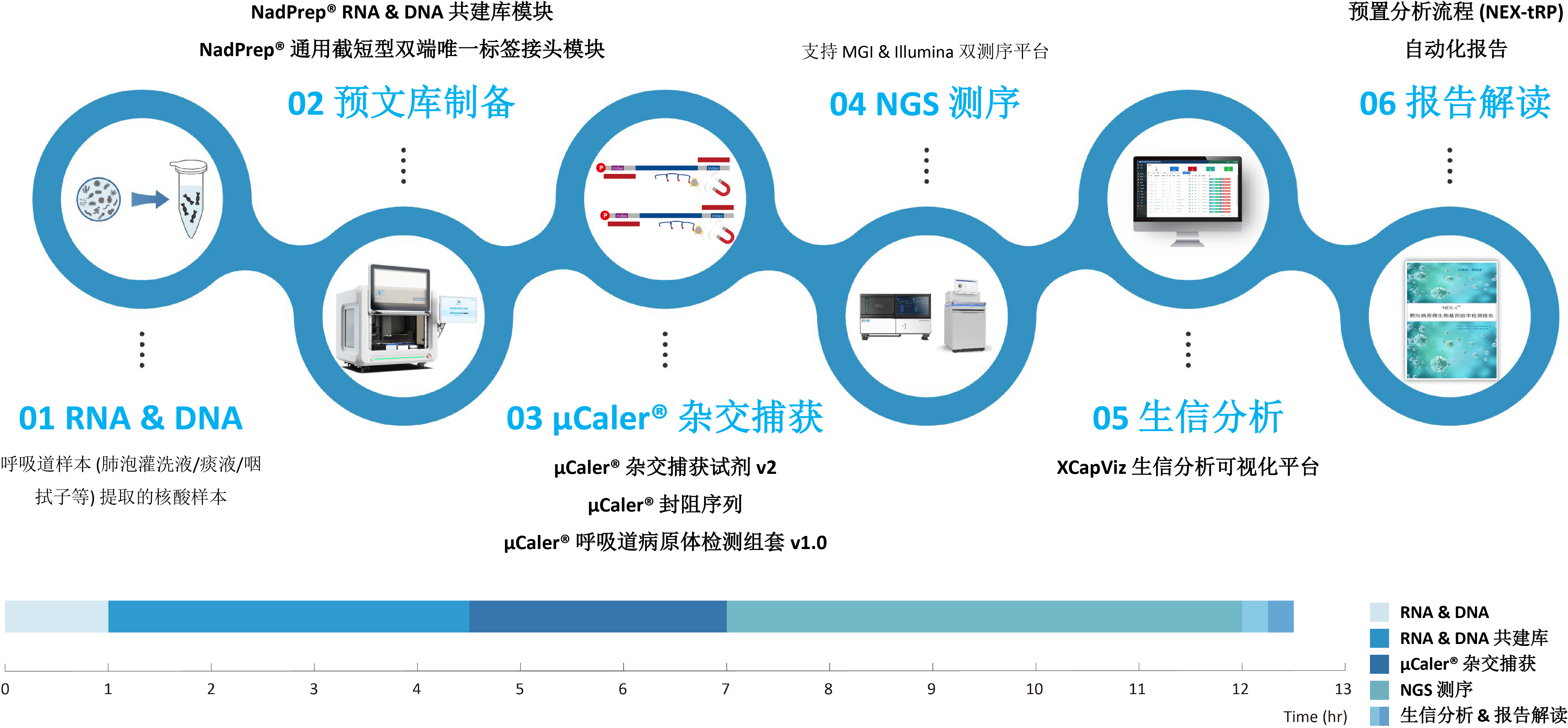 μCaler® 呼吸道病原体检测全流程解决方案-流程图