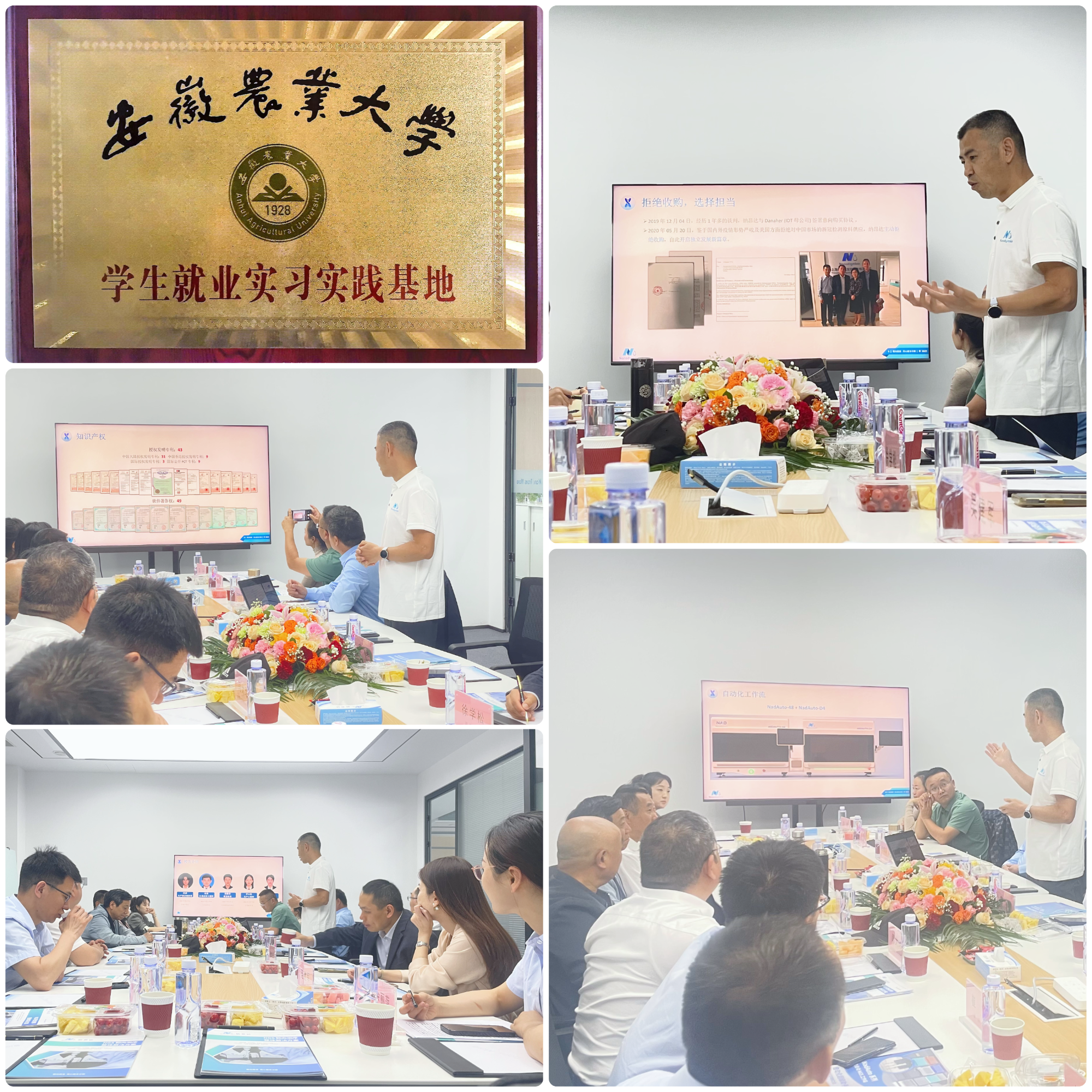 公司介绍