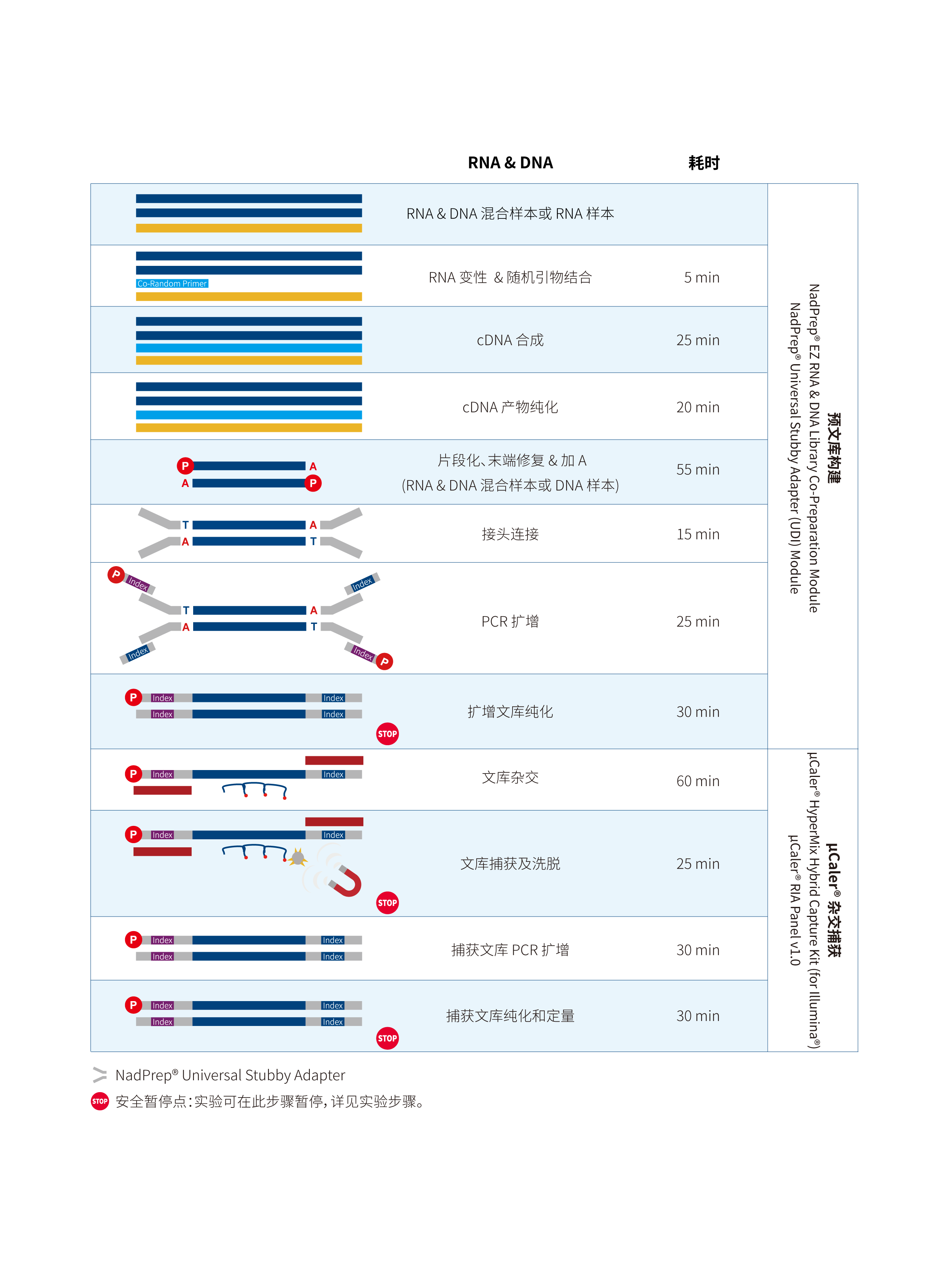 流程图-CN-329-01 流程图-CN-329-01