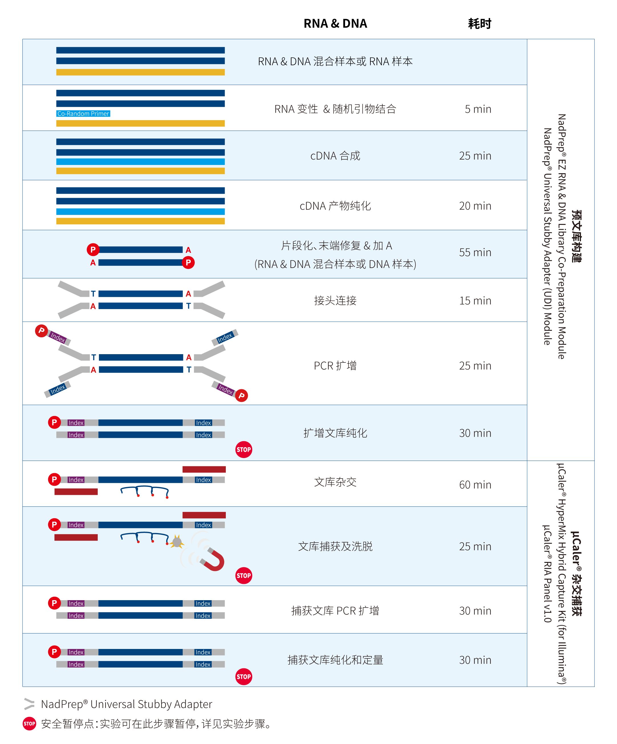 流程图-for illumina_CN-2605-01