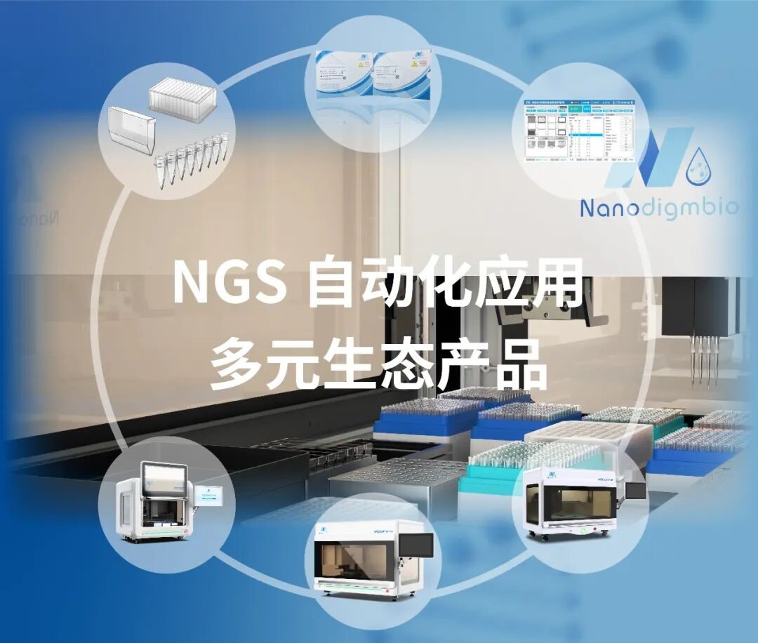 图6