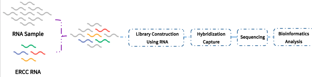Ext-RNA Control Panel workflow Ext-RNA Control Panel workflow