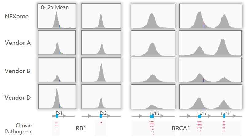 NEXome软文图5 NEXome软文图5