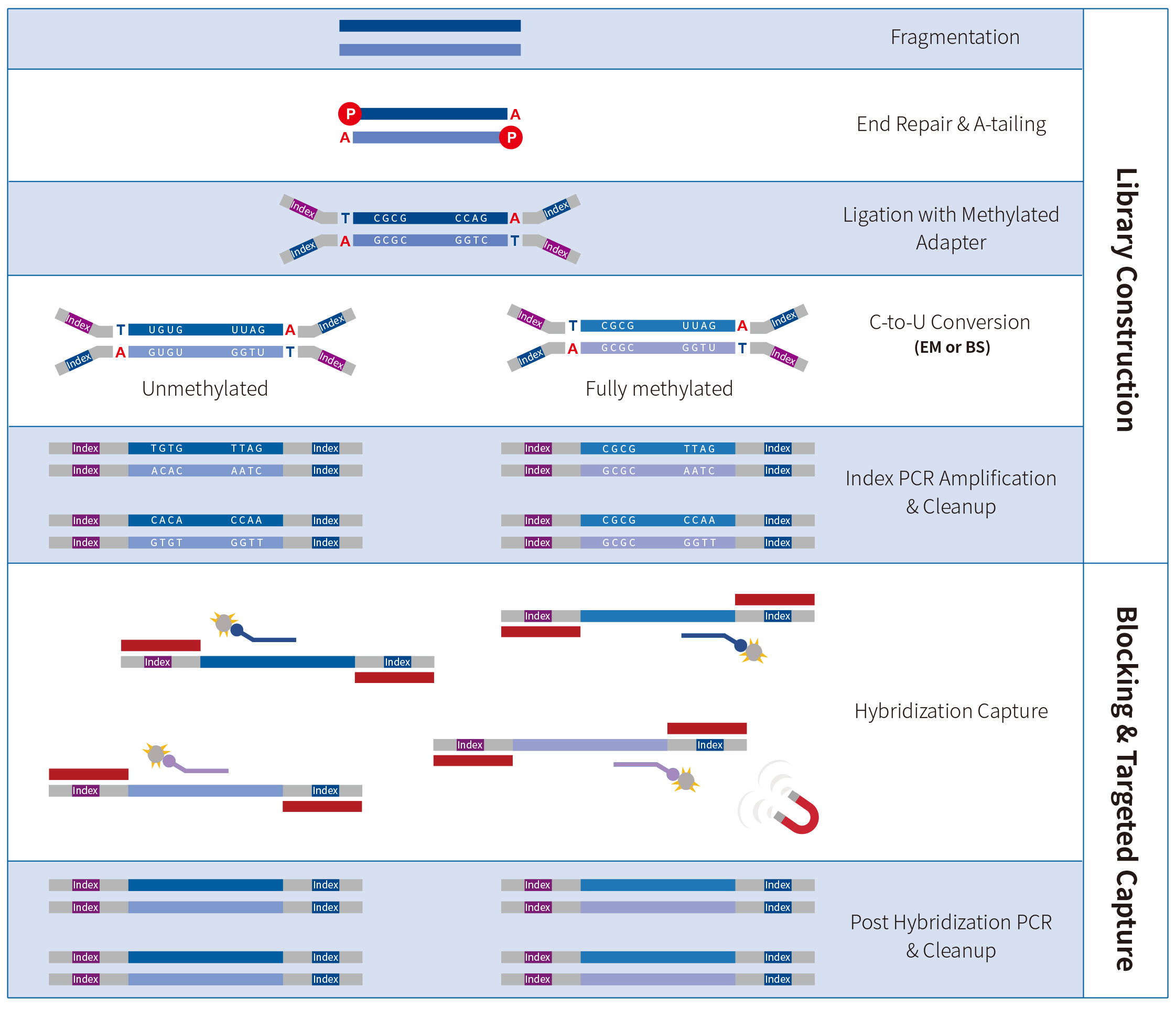 软文流程图 软文流程图