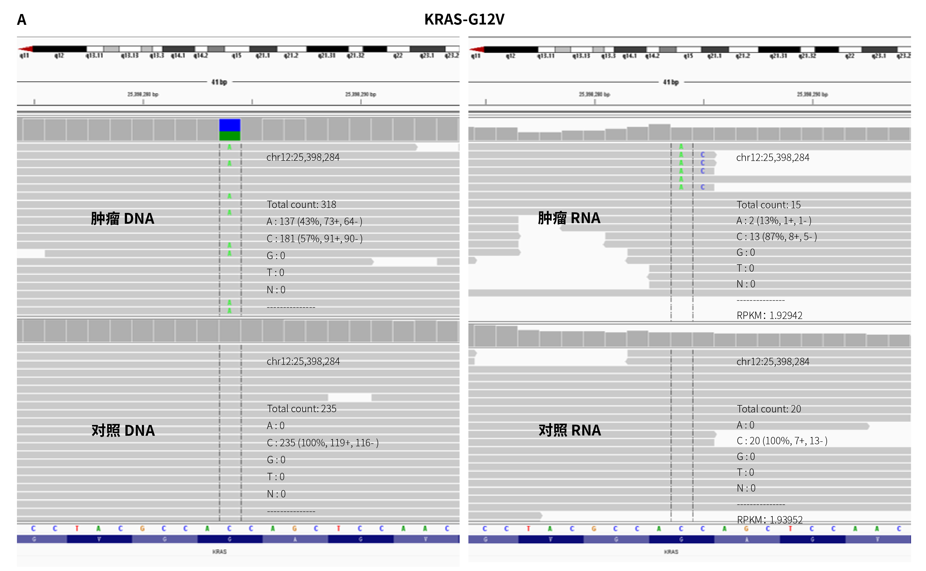 4A_画板 1 4A_画板 1