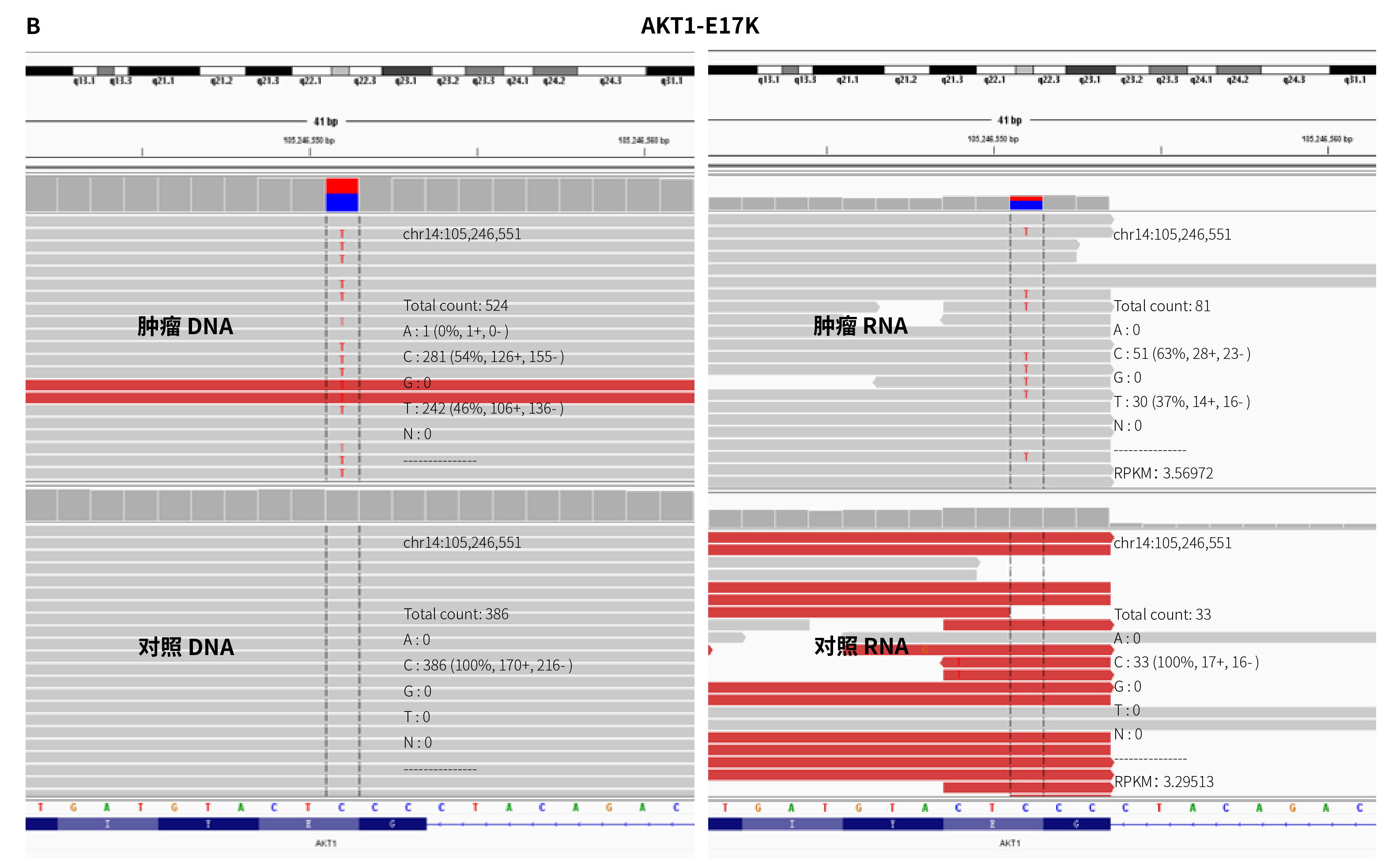 4B_画板 1 4B_画板 1