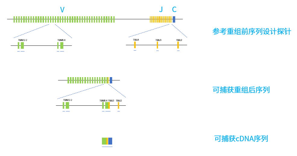 图片1 图片1