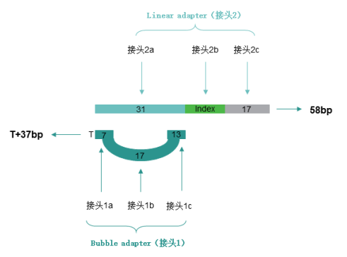 图2 图2