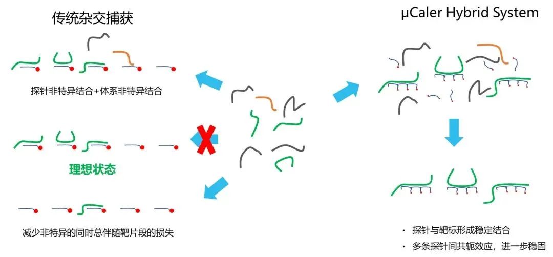 探针 探针