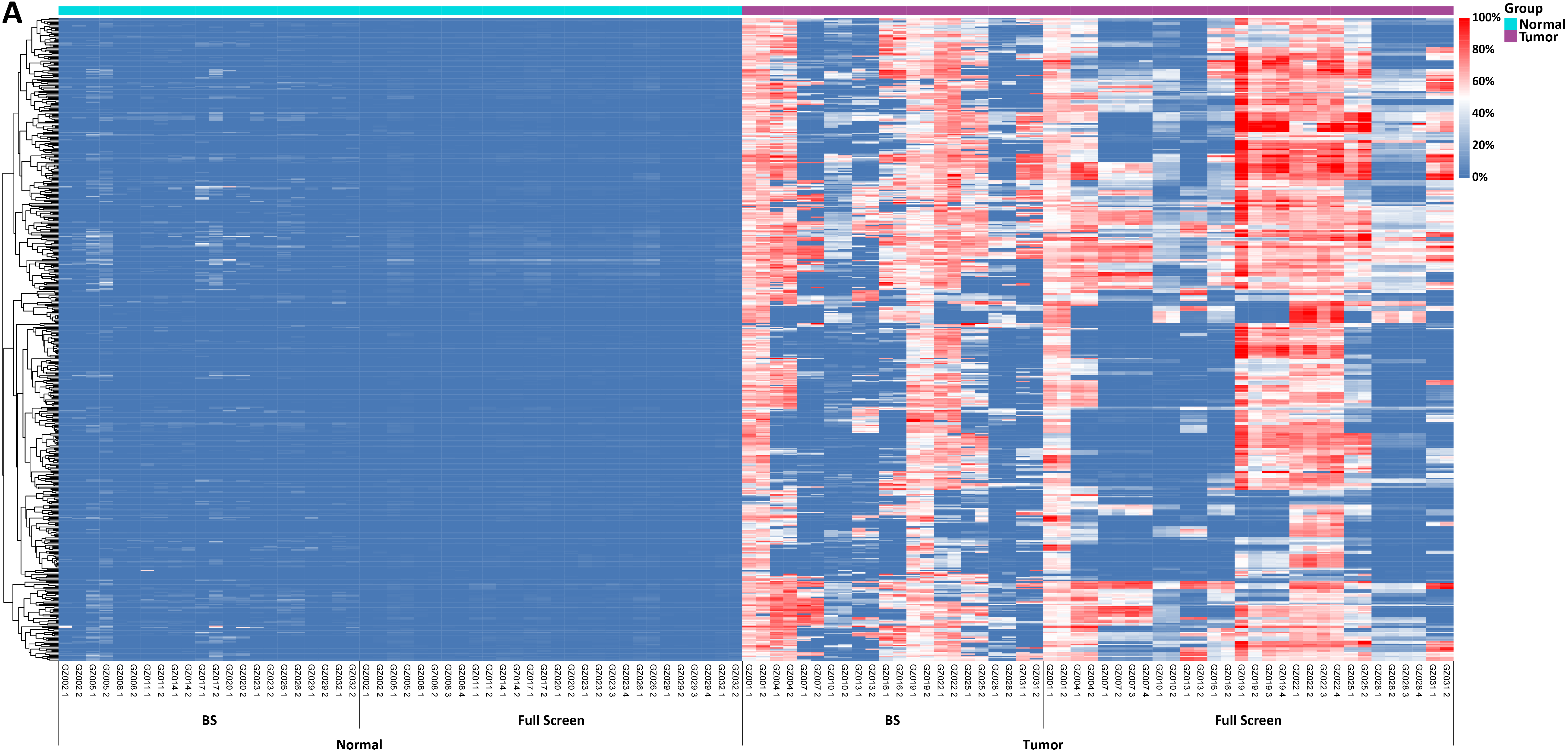 A-level-0924A A-level-0924A