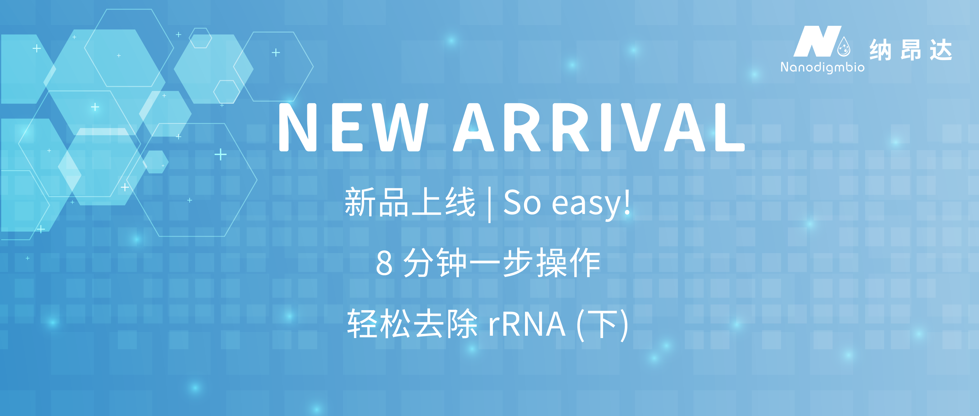 去除rRNA1_画板 1_画板 1 去除rRNA1_画板 1_画板 1