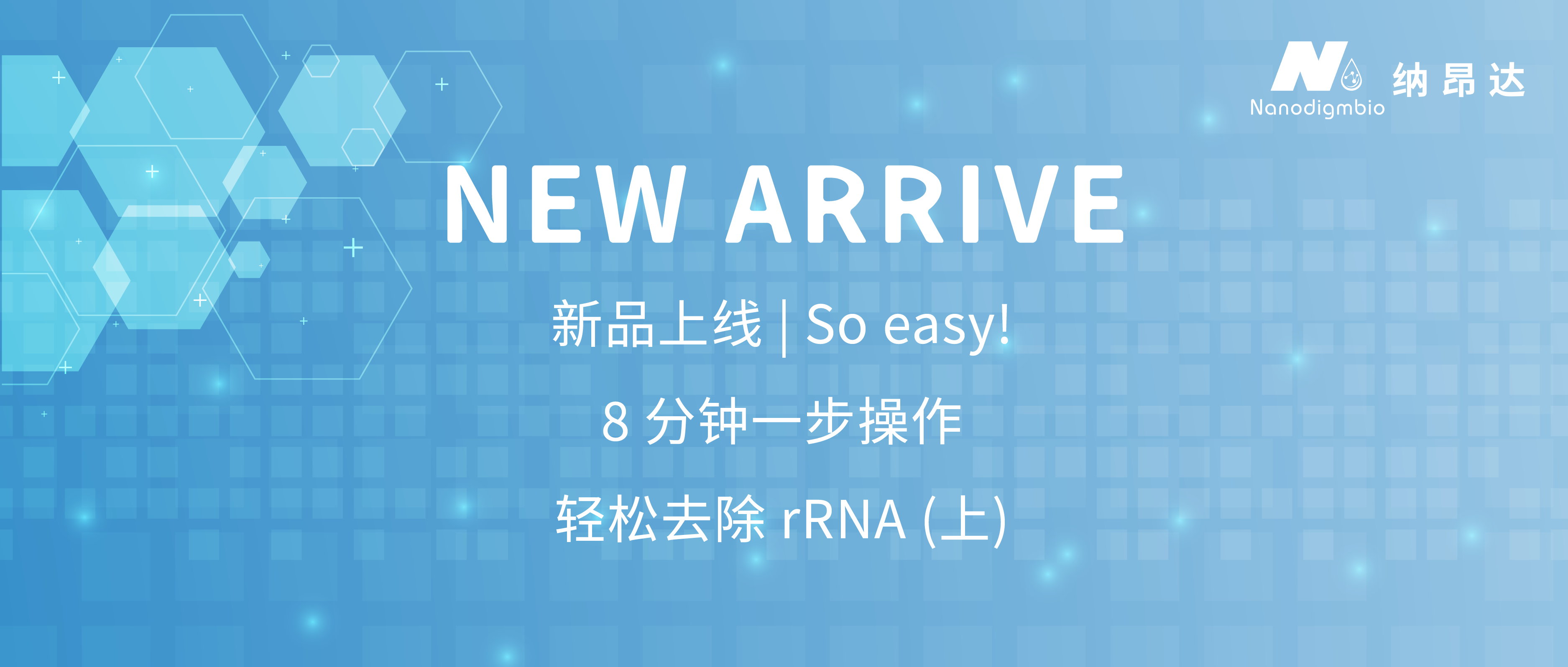 新品发布banner-1:1_画板 1 新品发布banner-1:1_画板 1