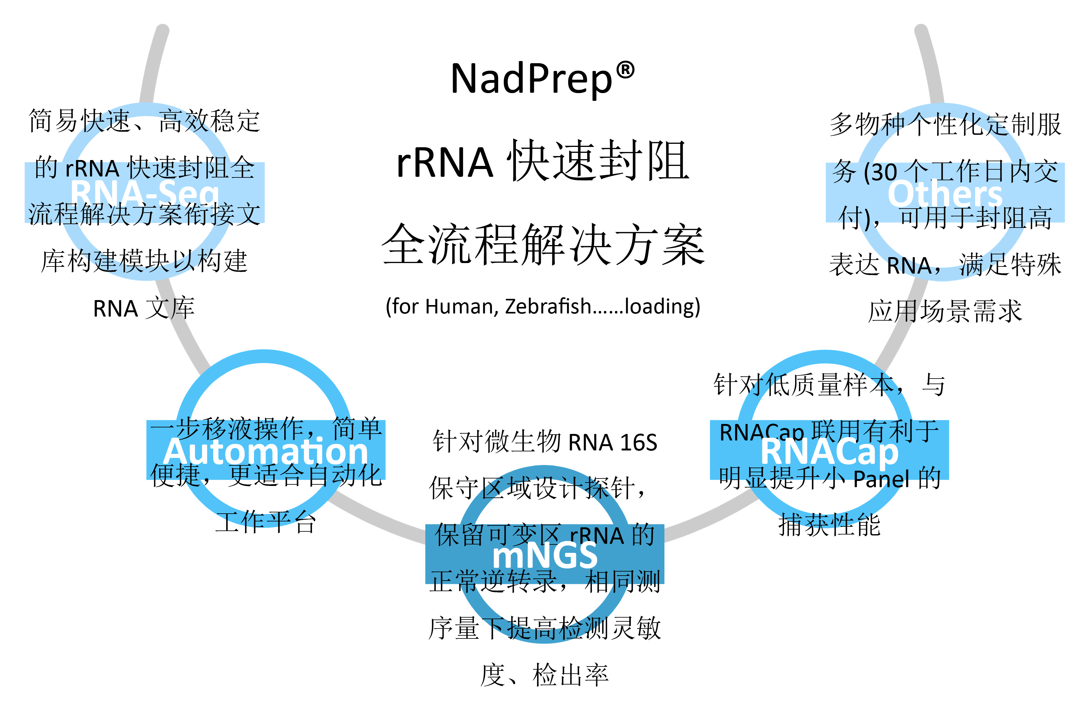 应用场景-01 应用场景-01
