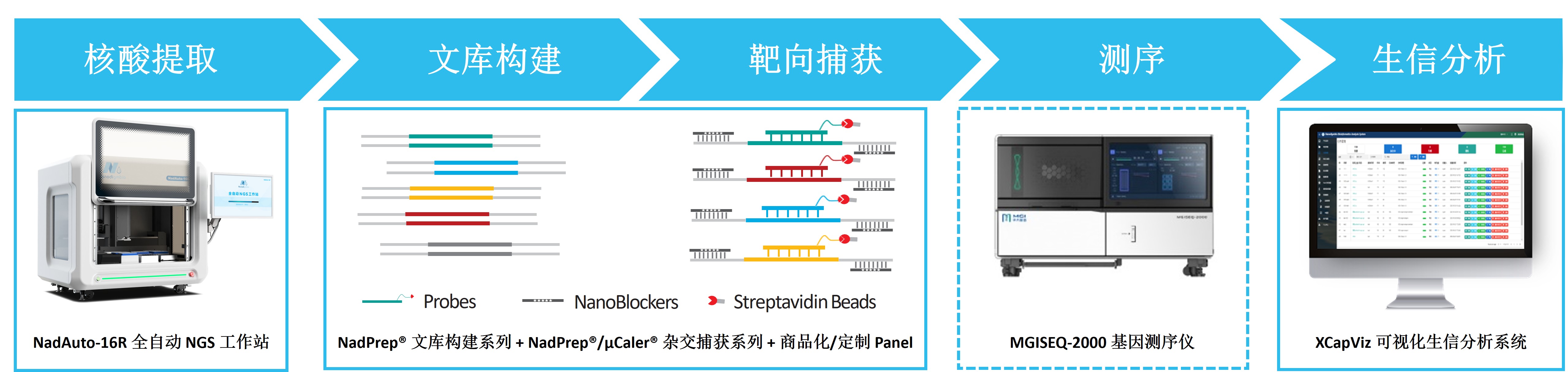 NGS流程图 NGS流程图